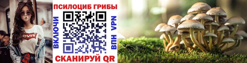 Галлюциногенные грибы прущие грибы  закладки  Пермь 